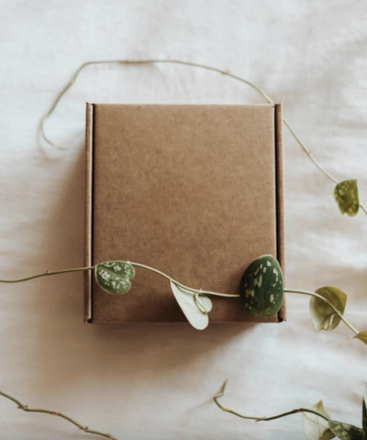 The Mom Box Collection